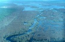 Pededze River