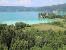 Wet forest, fen, Lake Wörthersee - aerial picture