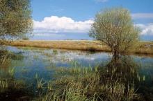 Paysage de Briere