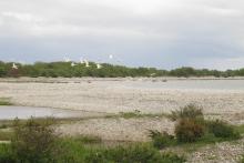 Osmussaare