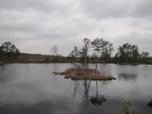 Tolkuse Bog