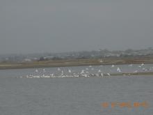 Muni Lagoon