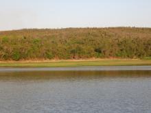 Forêt sèche en bordure du lac Ravelobe