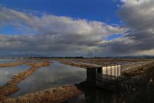 Orti Marsh with roadside observatory of the Geodetic Base