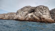 Islas Marietas