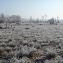 Les Marais de Sacy en hiver