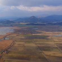 rice paddies located south from the mouth of Dongcheon Estuary