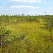 Morochno Ramsar Site