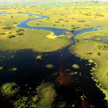  Underwater sand bars near Xo Flats, central Okavango