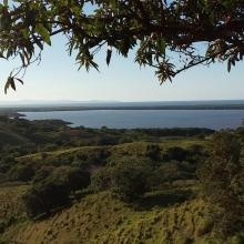 Esta imagen muestra la Laguna Limón, es un humedal de agua dulce, que tiene conectividad con el Caño Celedonio