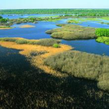 The territory is located in the interfluve of rivers Pripyat and Prostyr and annually is flooded during the spring for about 3 month.