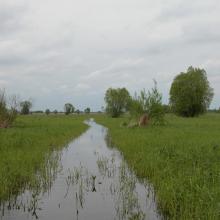 Floodplain meadows during the flood.