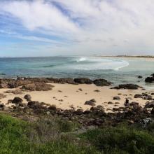 View south from Dark Point, Myall Lakes National Park