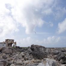 View across Sombrero Island showing old industrial workings associated with past phosphate mining, - note the date the photo was taken is unknown, not as given