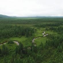 Summer landscape of Hani Wetland