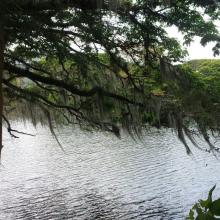 Madre Vieja Videles Ramsar Laguna de Sonso