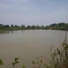 Mare Yanguali dans la plaine d’inondation de la Rivière Pendjari Mare Yanguali dans la plaine d’inondation de la Rivière Pendjari