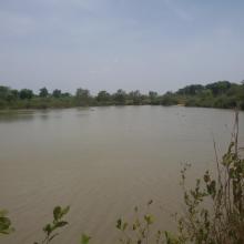 Mare Yanguali dans la plaine d’inondation de la Rivière Pendjari