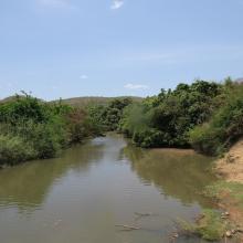 Mare Yanguali dans la plaine d’inondation de la Rivière Pendjari