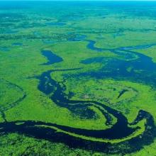 RPPN Sesc Pantanal
Photo : Haroldo Palo Jr.
