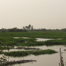 Plaine inondable de la riviere So dans la Commune de So-Ava. Site d'accueil des oiseaux d'eau migrateurs