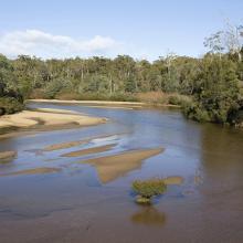 Flood Plain Lower Ringarooma River