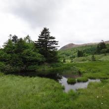 Yoshigadaira moor ponds