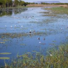 Parry Lagoons