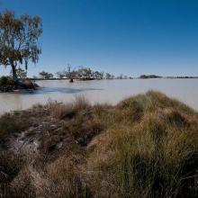 Paroo Mound Spring