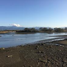 The Takaono River estuary:
Tidal flats with sand and mud deposits are inhabited by many organisms, including birds. 