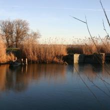 Marais Lansargues