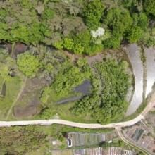 panoramic view of the Pyeongdume Wetland