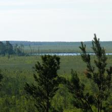 Cheremske Bog and Lake Cheremske 