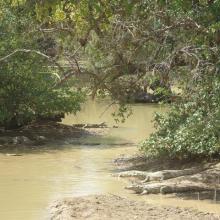 Photo 9 : Gros plan sur la richesse culturelle des communautés riveraines du site