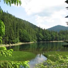 Lake Synevyr