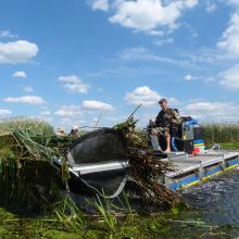 Removal of problematic vegetation on the Pripyat River