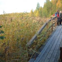 Gammelstadsvikens nature reserve, viewing point