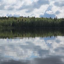 Gammelstadsvikens nature reserve