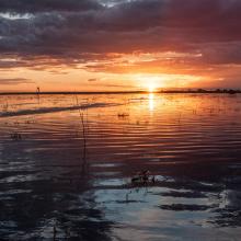 Sunset and ripples over Narran Lake