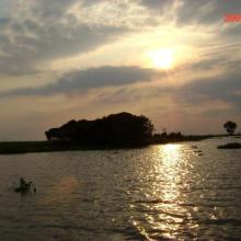 Atardecer en la ciénaga de Zapatosa Atardecer en la ciénaga de Zapatosa
