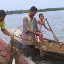 Faena de pescadores en el corregimiento de Candelaria, municipio de Chimichagua