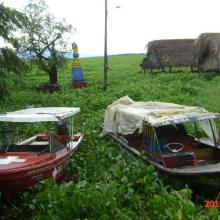 Vista panorámica del puerto de Chimichagua, en época de inundación de la Ciénaga de Zapatosa