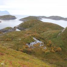 Fjærkvitingen - Overgrowing of rich mire facing north