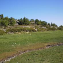 Beach meadow at Karlsøya