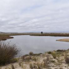 Humedal Salinas Chica