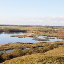 Vue du Parc Ornithologique du Marquenterre