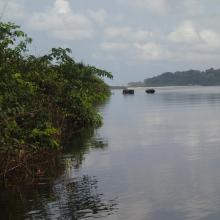 Traversée des éléphants sur la Ndougou