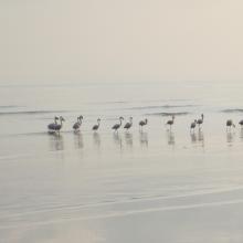 inséré le 27 juin 2016