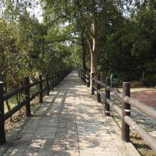 Cycle Track for visitors in Nawabganj Wetland.