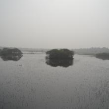 Panoramic view of Nawabganj wetland.  
